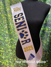 Load image into Gallery viewer, Outline Text Senior Sash - Cheer paw Dance Basketball Soccer Drill Team Color guard - Wide Sash - Customize Colors
