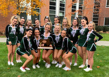 Load image into Gallery viewer, Elite Rhinestone Scrunchie - Clear or AB Rhinestones