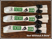 Load image into Gallery viewer, Cheer Megaphone Senior Night Sash - Wide Sash - Customize Colors