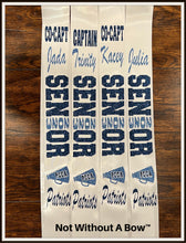 Load image into Gallery viewer, Cheer Megaphone w/ School Cutout Senior Night Sash - Customize Colors