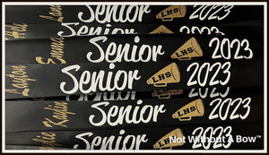 Cheer Senior Sash - Cheer Megaphone w/ School Cutout Senior Night 2024 Sash - Customize Colors
