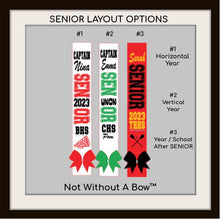 Load image into Gallery viewer, Cheer Senior Sash - Cheer Megaphone Senior Night Sash - Cheer Senior 2024 Sash - Wide Sash - Customize Colors
